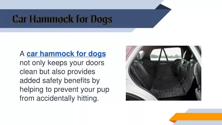 car hammock for dogs