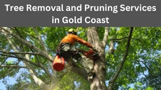 Tree Removal and Pruning Services in Gold Coast