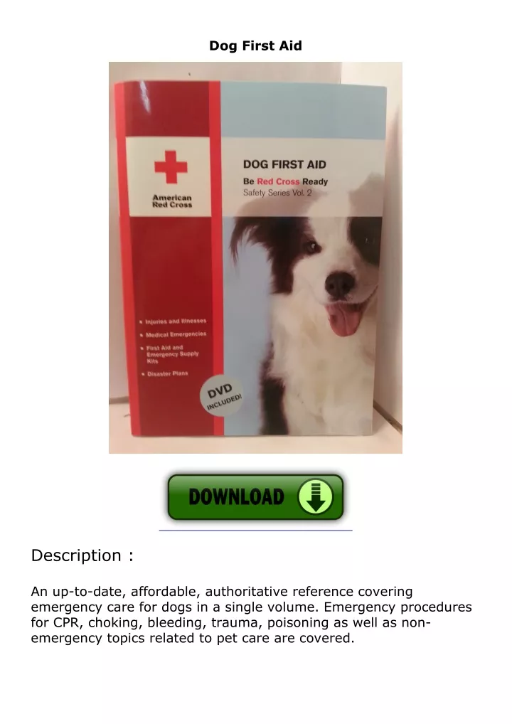 dog first aid