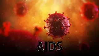 AIDS Disease PPT