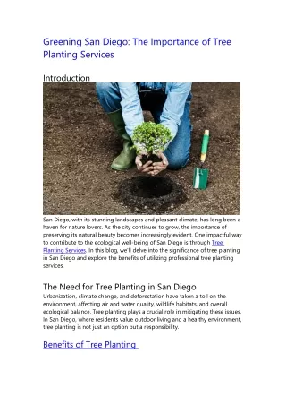 Greening San Diego: The Importance of Tree Planting Services