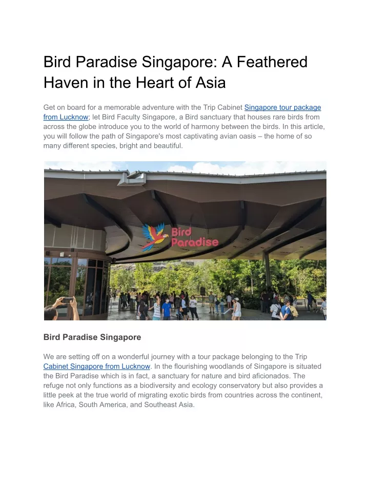 bird paradise singapore a feathered haven