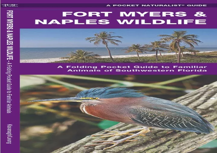 fort myers naples wildlife a folding pocket guide