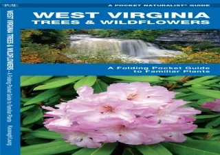 ⭐ PDF Read Online ⭐ West Virginia Trees & Wildflowers: An Introduction to Familiar Species