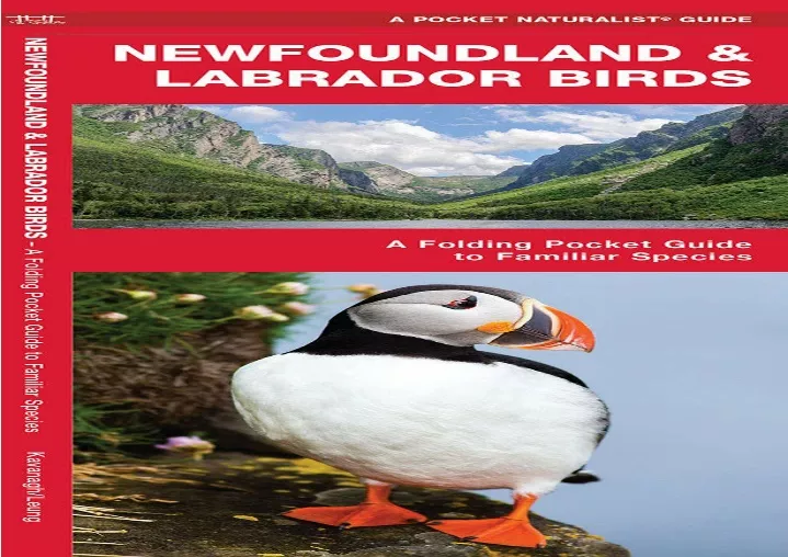 newfoundland labrador birds a folding pocket