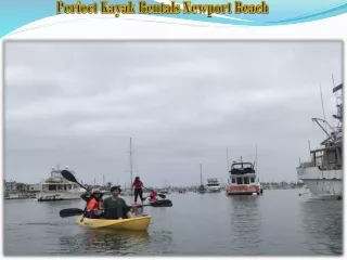 Perfect Kayak Rentals Newport Beach