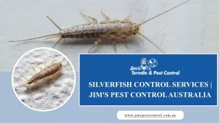 Silverfish Control Services  Jim's Pest Control Australia