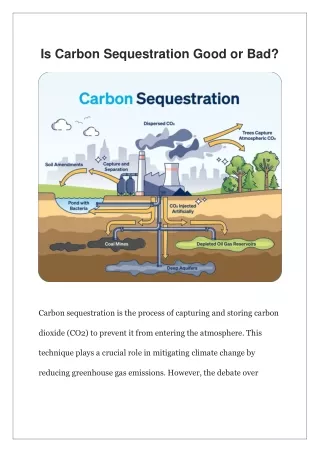 Is Carbon Sequestration Good or Bad?