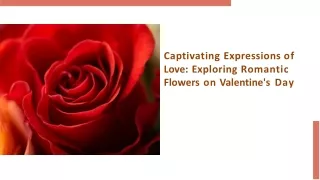 Captivating Expressions of Love Exploring Romantic Flowers on Valentines Day