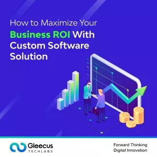 How to maximize your business ROI with custom software solution
