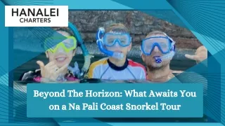 Beyond The Horizon What Awaits You on a Na Pali Coast Snorkel Tour