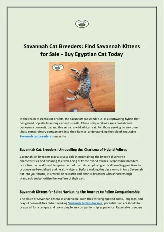 Savannah Cat Breeders: Find Savannah Kittens for Sale - Buy Egyptian Cat Today