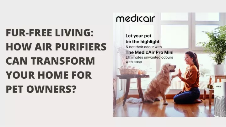 fur free living how air purifiers can transform