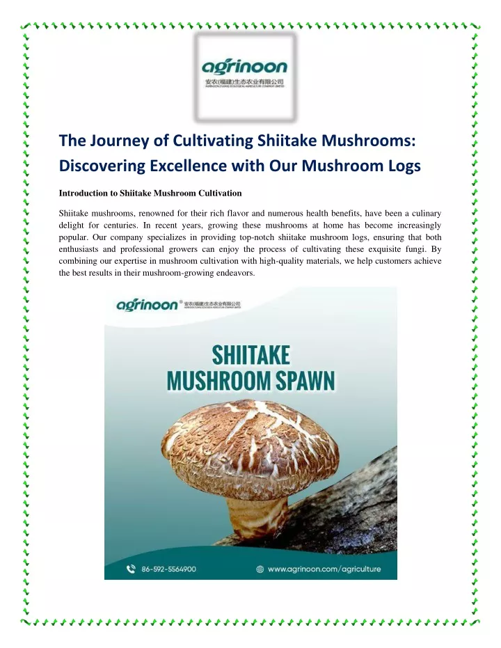 the journey of cultivating shiitake mushrooms