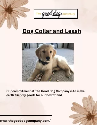Stylish Dog Collar and Leash Options
