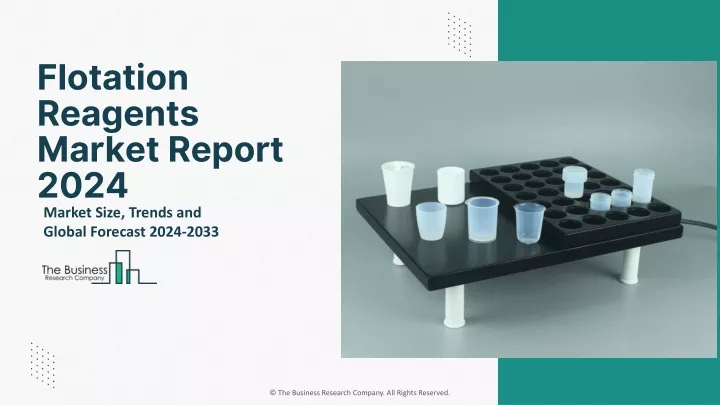 flotation reagents market report 2024