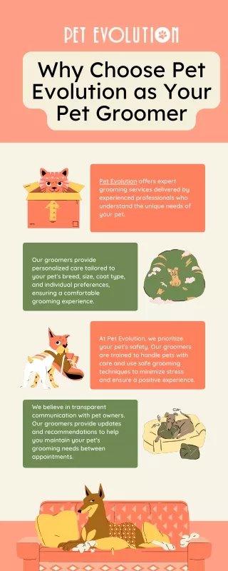 Why Choose Pet Evolution as Your Pet Groomer