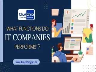 What Functions Do IT Companies Perform