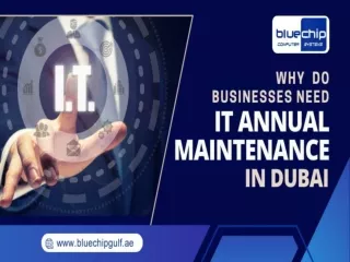 Why do Businesses Need IT Annual Maintenance in Dubai