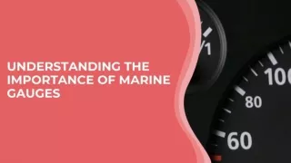 Understanding The Importance of Marine Gauges