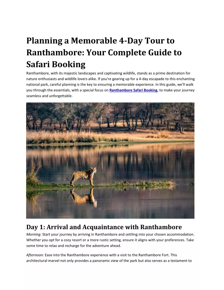 planning a memorable 4 day tour to ranthambore