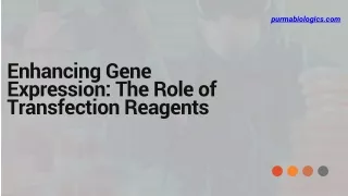 Enhancing Gene Expression The Role of Transfection Reagents