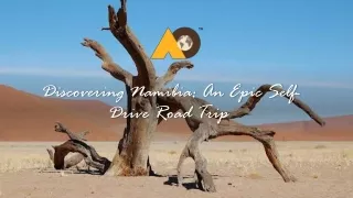 Discovering Namibia : An Epic Self-Drive Road Trip