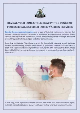 Reveal Your Homes True Beauty The Power of Professional Exterior House Washing Services