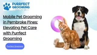 Mobile Pet Grooming in Pembroke Pines: Elevating Pet Care with Purrfect Grooming