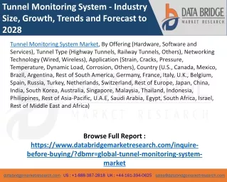 tunnel monitoring system industry size growth