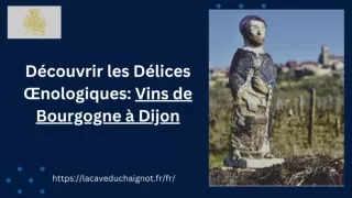 Découvrir les Délices Œnologiques: Vins de Bourgogne à Dijon