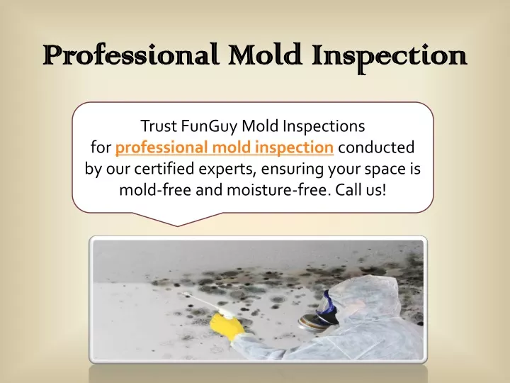 professional mold inspection