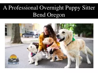 A Professional Overnight Puppy Sitter Bend Oregon