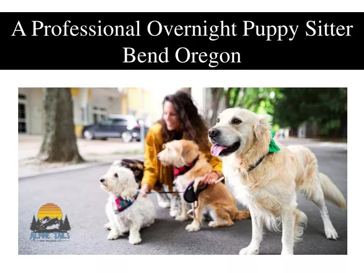 a professional overnight puppy sitter bend oregon