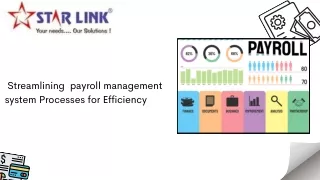 streamlining payroll management system processes
