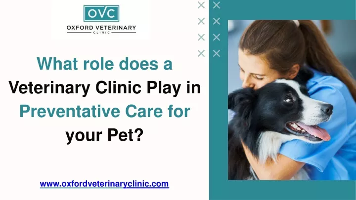 what role does a veterinary clinic play