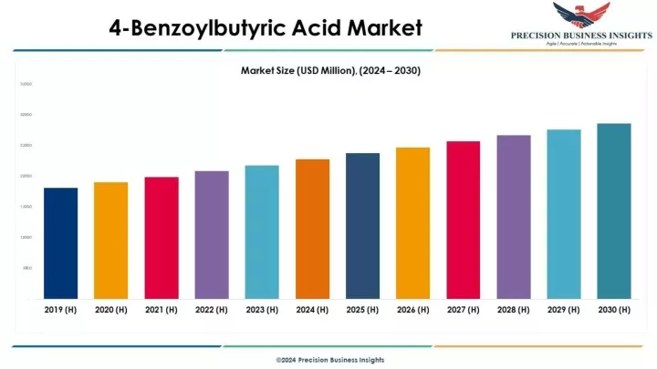 anemia in elderly market 2024 2030