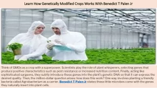 Learn How Genetically Modified Crops Works With Benedict T Palen Jr