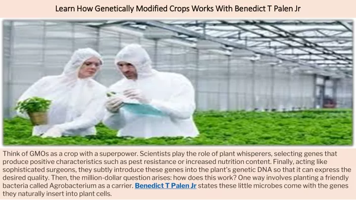 learn how genetically modified crops works with benedict t palen jr