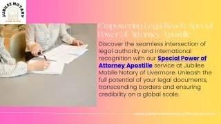 Special Power of Attorney Apostille Empowerment Sealed
