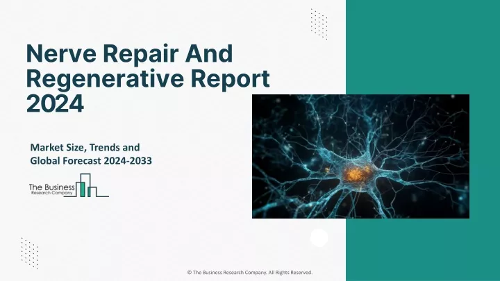 nerve repair and regenerative report 2024