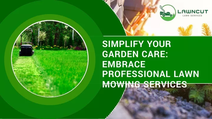 simplify your garden care embrace professional