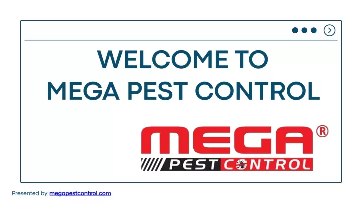 welcome to mega pest control
