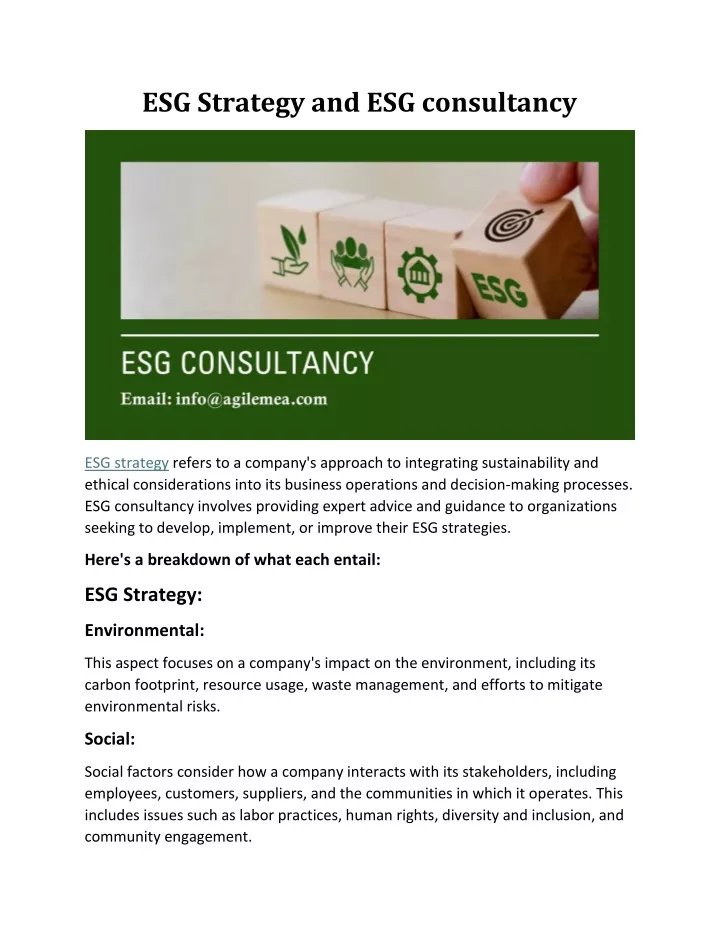 esg strategy and esg consultancy