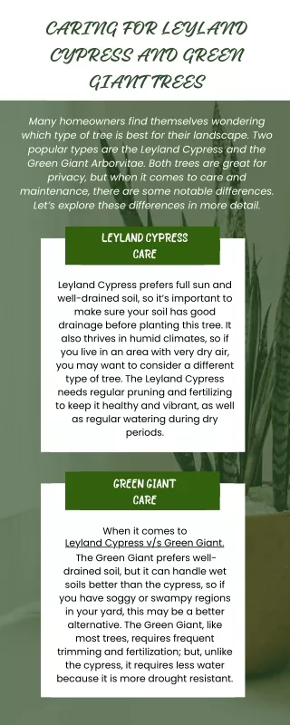 Choosing the Right Privacy Hedge: Green Giants or Leyland Cypress?