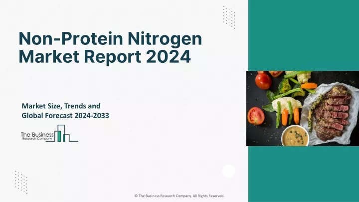 non protein nitrogen market report 2024
