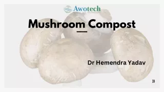 Mushroom compost For Cold Room -Awotech