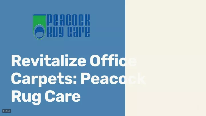 revitalize office carpets peacock rug care