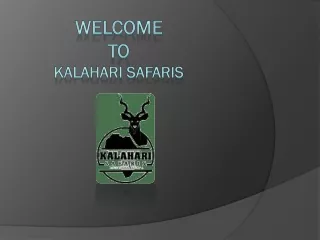 Safari Lodges | kalaharisafaris