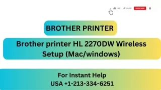 How To Fix Brother Printer Printing Issue | Brother Printer Not Printing  1-213-